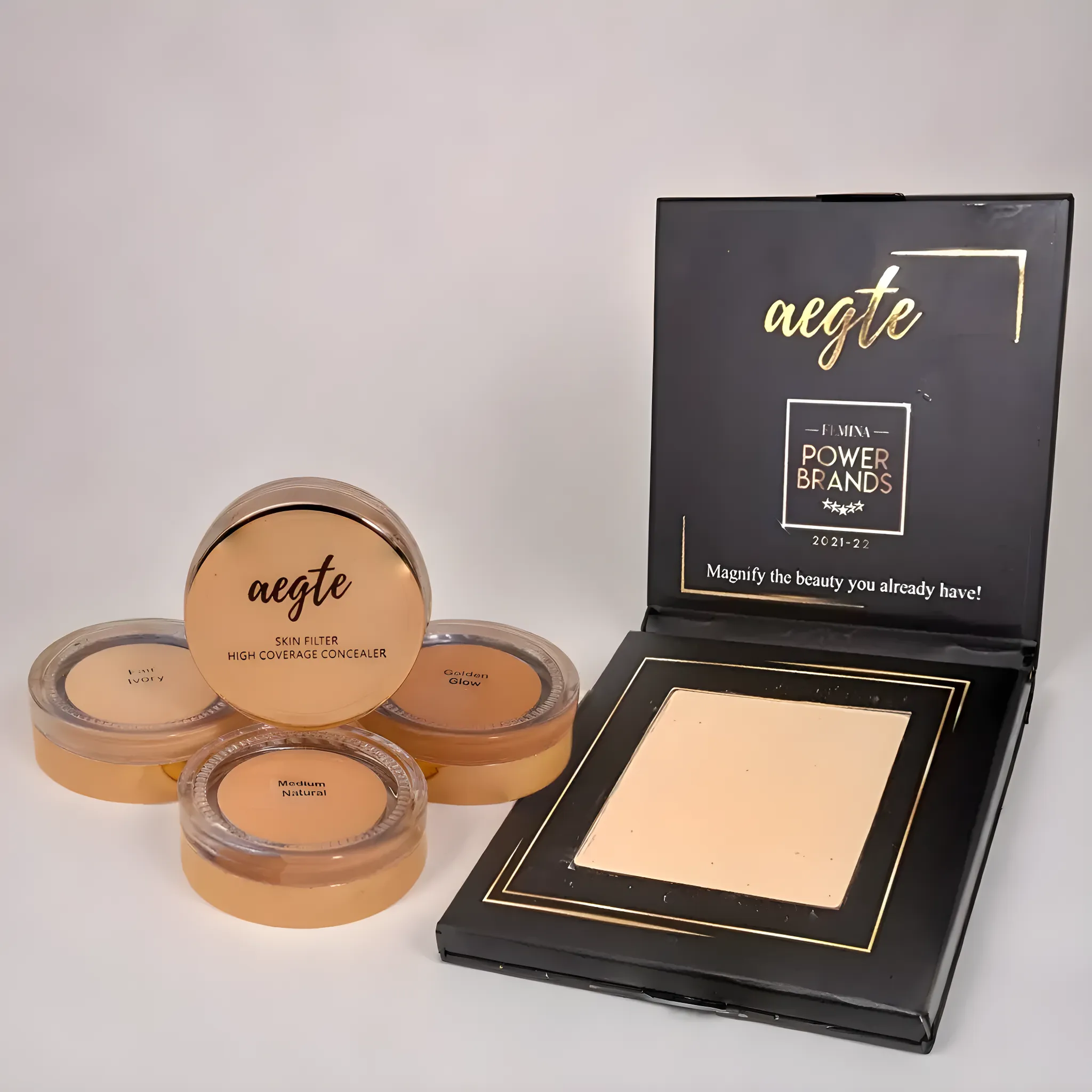 Aegte Combo of Dab and Fab Matte Compact Powder & Skin Filter High Coverage Concealer